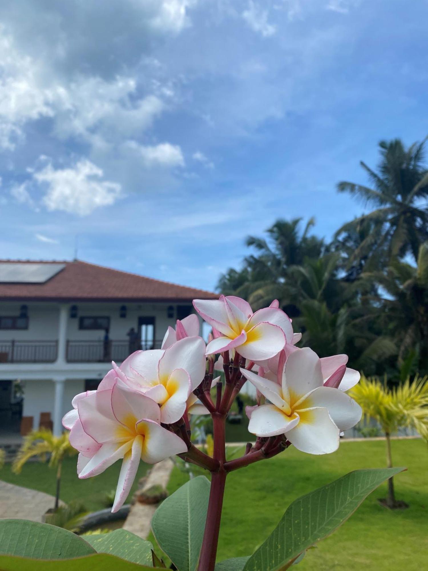 Sea Star Boutique Hotel Hikkaduwa Bagian luar foto